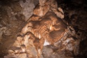 26_Carlsbad Caverns National Park_02